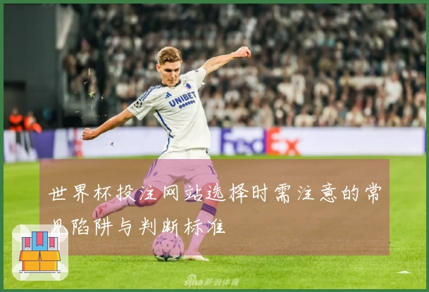 世界杯投注网站选择时需注意的常见陷阱与判断标准