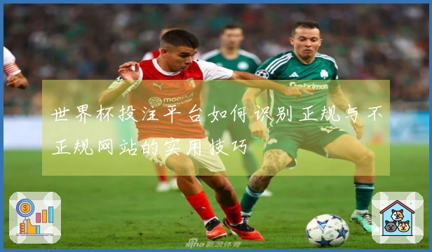 世界杯投注平台如何识别正规与不正规网站的实用技巧