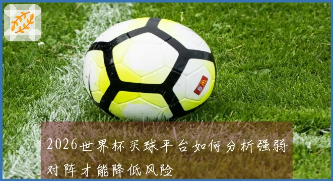 2026世界杯买球平台如何分析强弱对阵才能降低风险