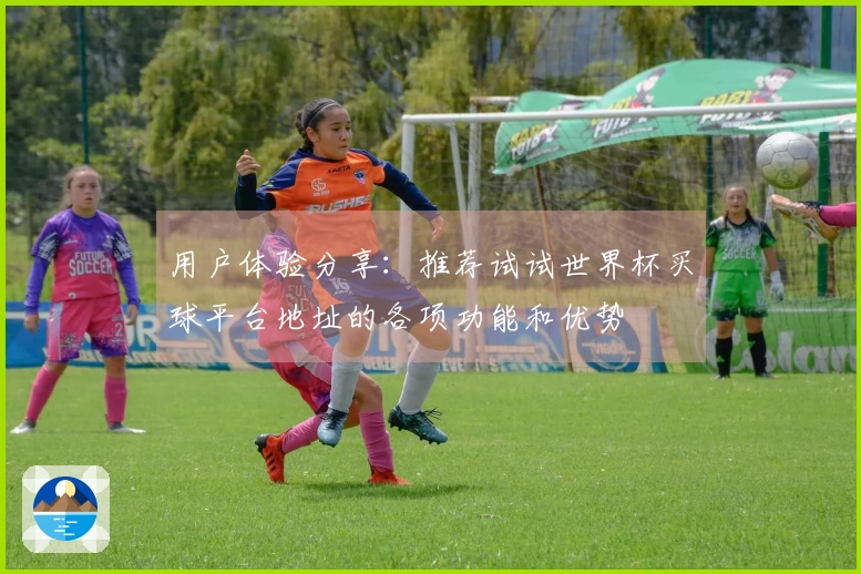 用户体验分享：推荐试试世界杯买球平台地址的各项功能和优势