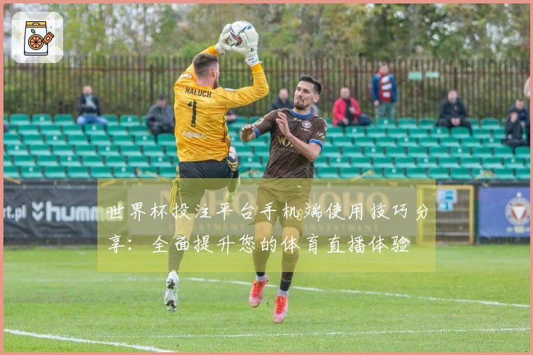 世界杯投注平台手机端使用技巧分享：全面提升您的体育直播体验