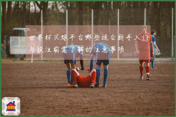 世界杯买球平台哪些适合新手入门与投注前需了解的注意事项