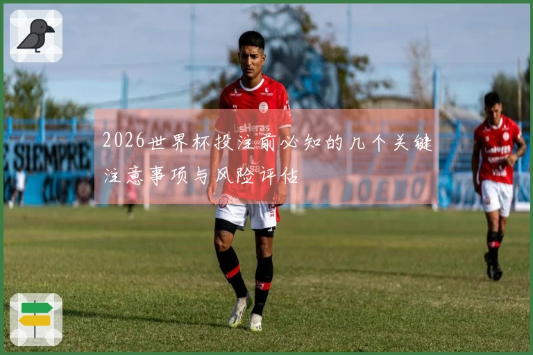 2026世界杯投注前必知的几个关键注意事项与风险评估