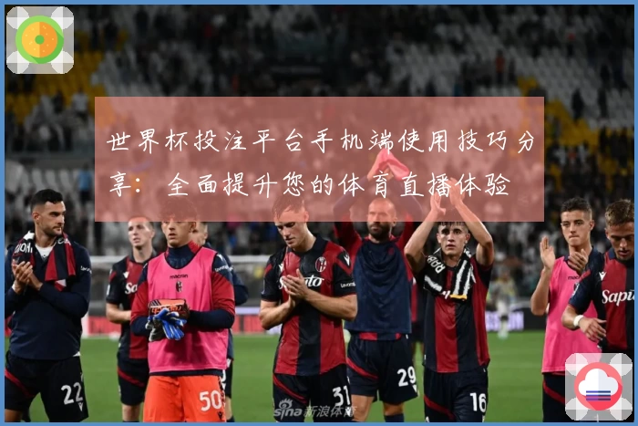 世界杯投注平台手机端使用技巧分享：全面提升您的体育直播体验