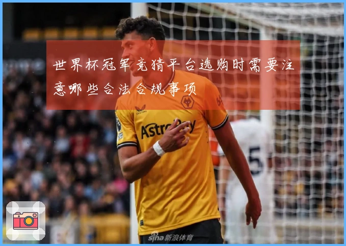 世界杯冠军竞猜平台选购时需要注意哪些合法合规事项