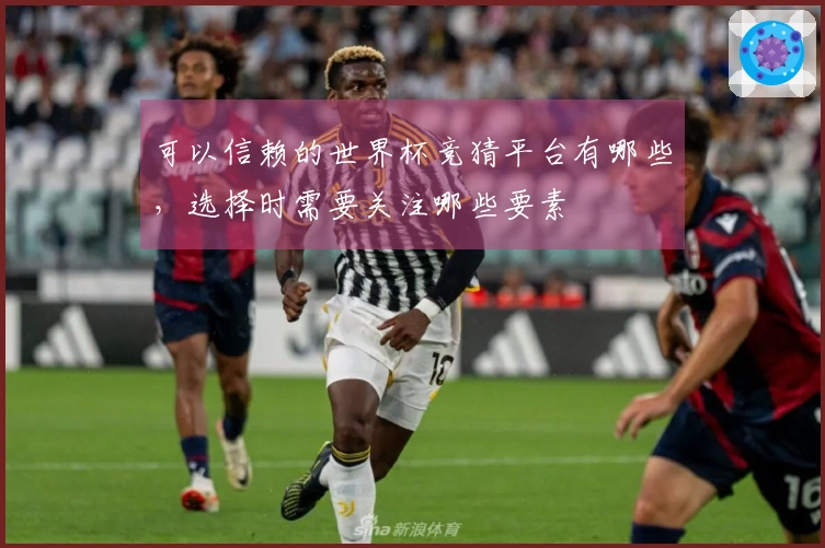 可以信赖的世界杯竞猜平台有哪些，选择时需要关注哪些要素