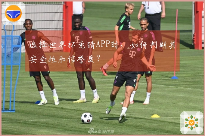 选择世界杯竞猜APP时，如何判断其安全性和信誉度？