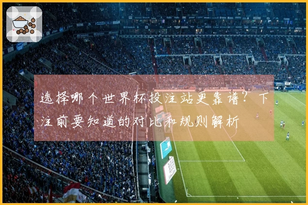 选择哪个世界杯投注站更靠谱？下注前要知道的对比和规则解析