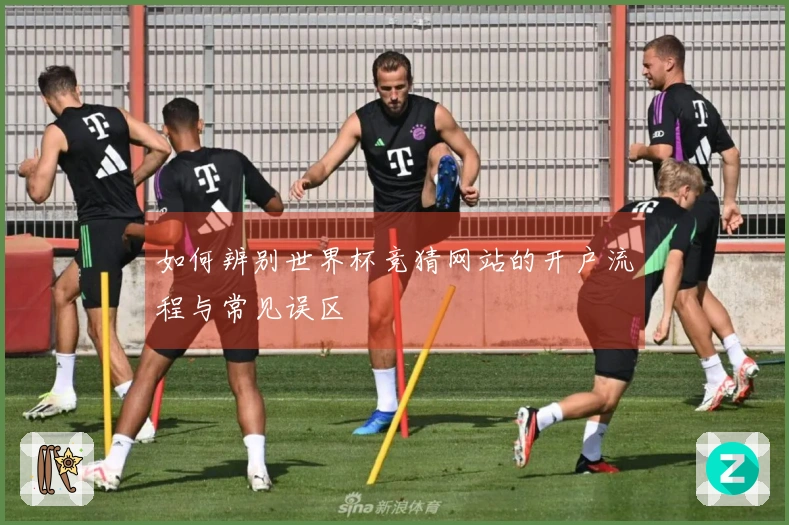 如何辨别世界杯竞猜网站的开户流程与常见误区