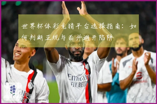 世界杯体彩竞猜平台选择指南：如何判断正规与否并避开陷阱