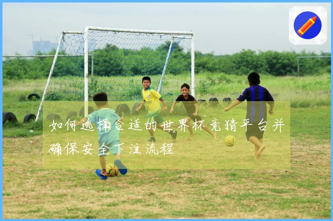 如何选择合适的世界杯竞猜平台并确保安全下注流程