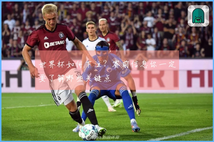 世界杯如何下注？赛前信息你一定要了解哪些关键点