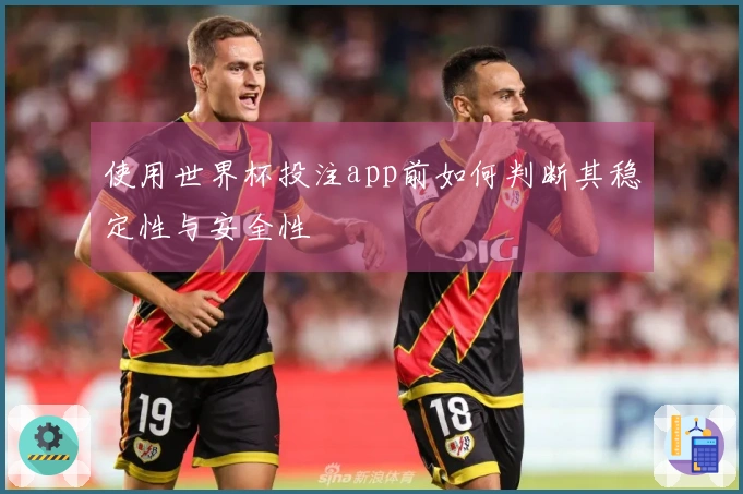 使用世界杯投注app前如何判断其稳定性与安全性