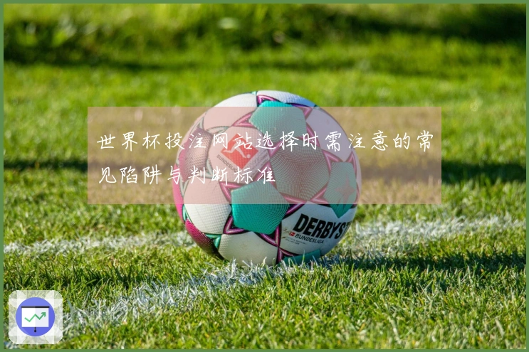 世界杯投注网站选择时需注意的常见陷阱与判断标准