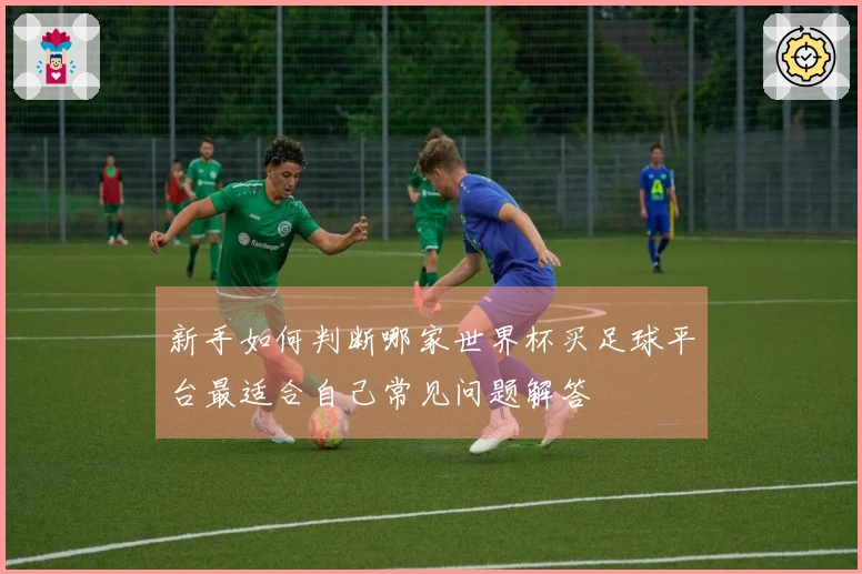 新手如何判断哪家世界杯买足球平台最适合自己常见问题解答