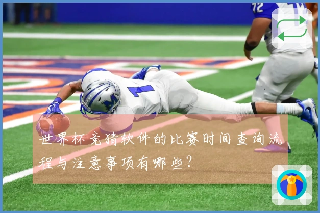 世界杯竞猜软件的比赛时间查询流程与注意事项有哪些？