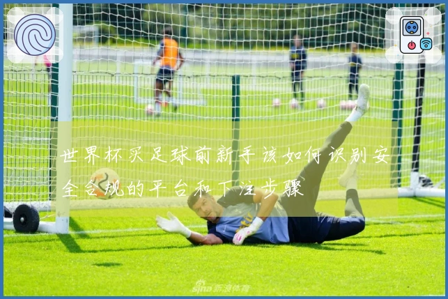 世界杯买足球前新手该如何识别安全合规的平台和下注步骤
