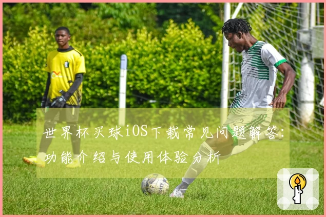 世界杯买球iOS下载常见问题解答：功能介绍与使用体验分析