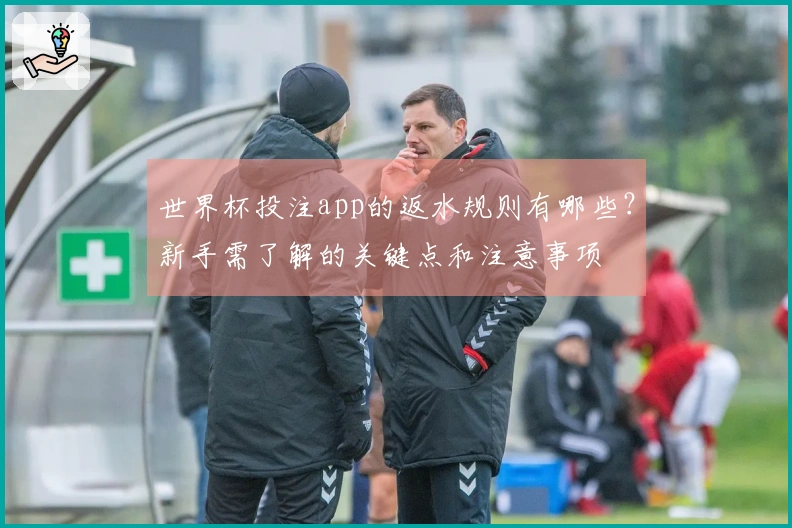 世界杯投注app的返水规则有哪些？新手需了解的关键点和注意事项