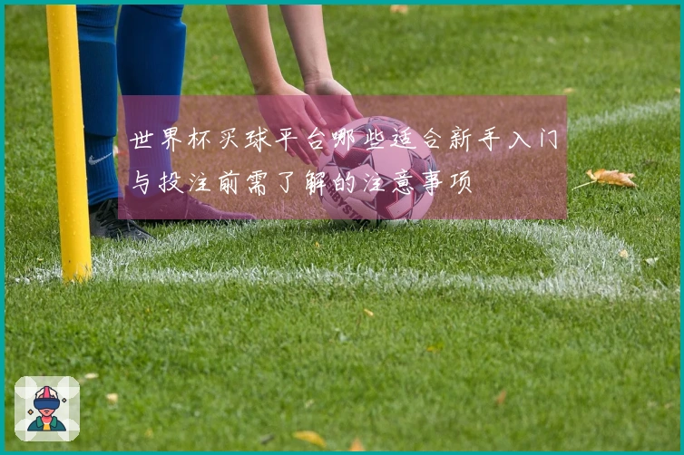 世界杯买球平台哪些适合新手入门与投注前需了解的注意事项