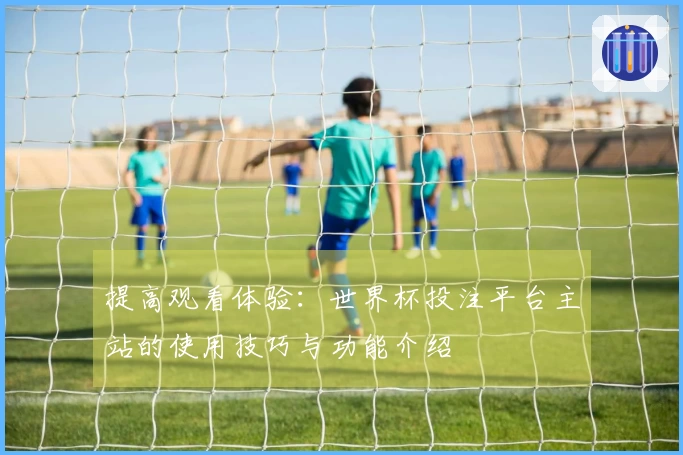 提高观看体验：世界杯投注平台主站的使用技巧与功能介绍