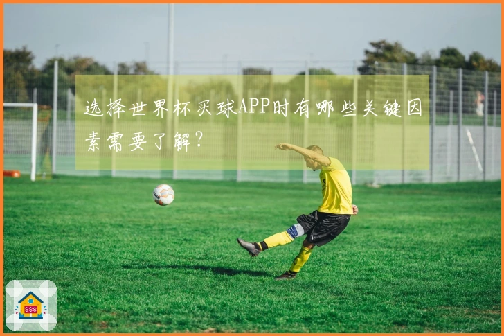 选择世界杯买球APP时有哪些关键因素需要了解？