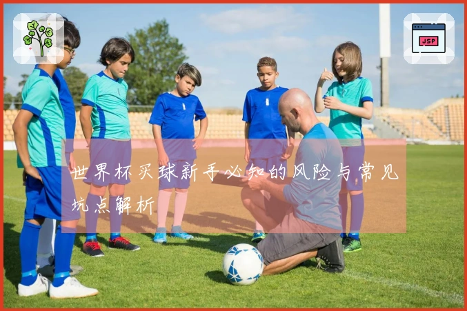 世界杯买球新手必知的风险与常见坑点解析