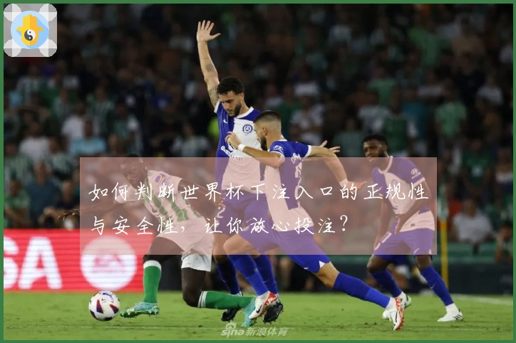 如何判断世界杯下注入口的正规性与安全性，让你放心投注？